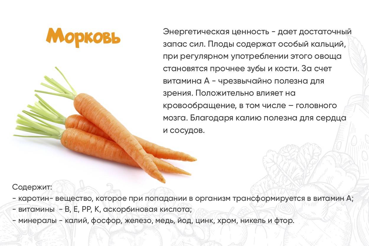 Морковь ребенку: можно ли давать, с какого возраста вводить в прикорм