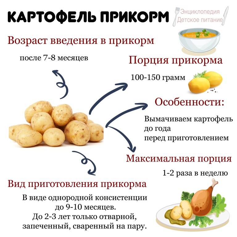 Польза и вред картофеля для беременных