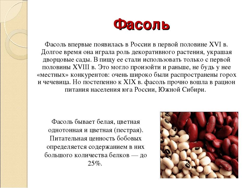 Можно ли фасоль кормящей маме: стручковую, зеленую | nail-trade.ru