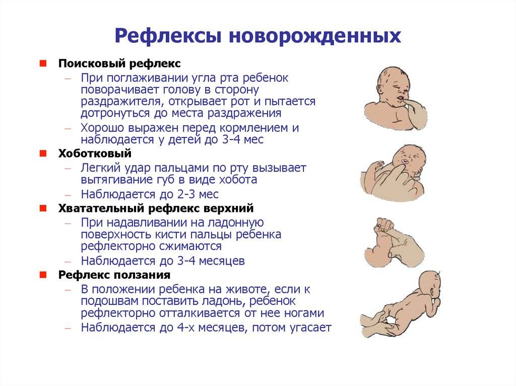 Основные рефлексы и навыки новорожденных детей