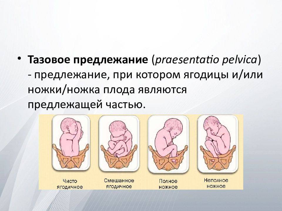 Санкт-петербургское государственное бюджетное учреждение здравоохранения «родильный дом №17»
