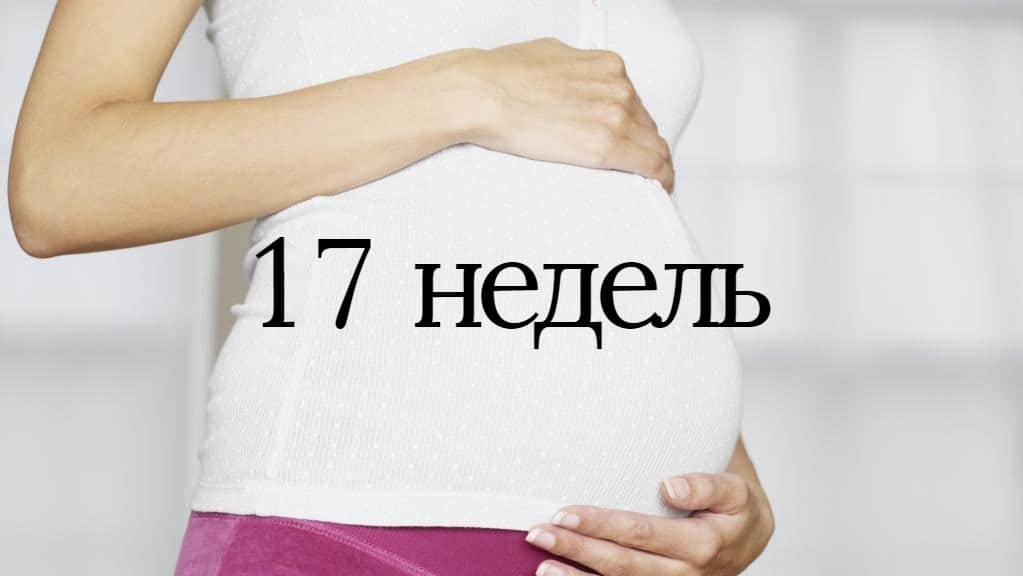 ➤ 19 неделя беременности всё что нужно знать будущей маме