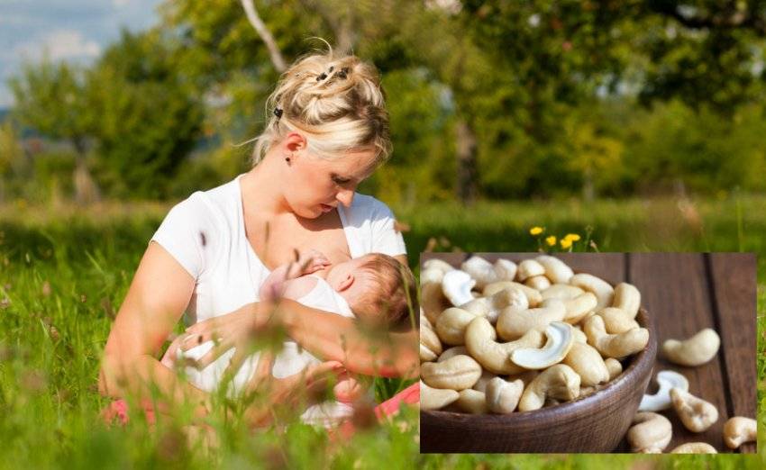 Кешью при грудном вскармливании: можно ли кормящей маме в первый и второй месяц