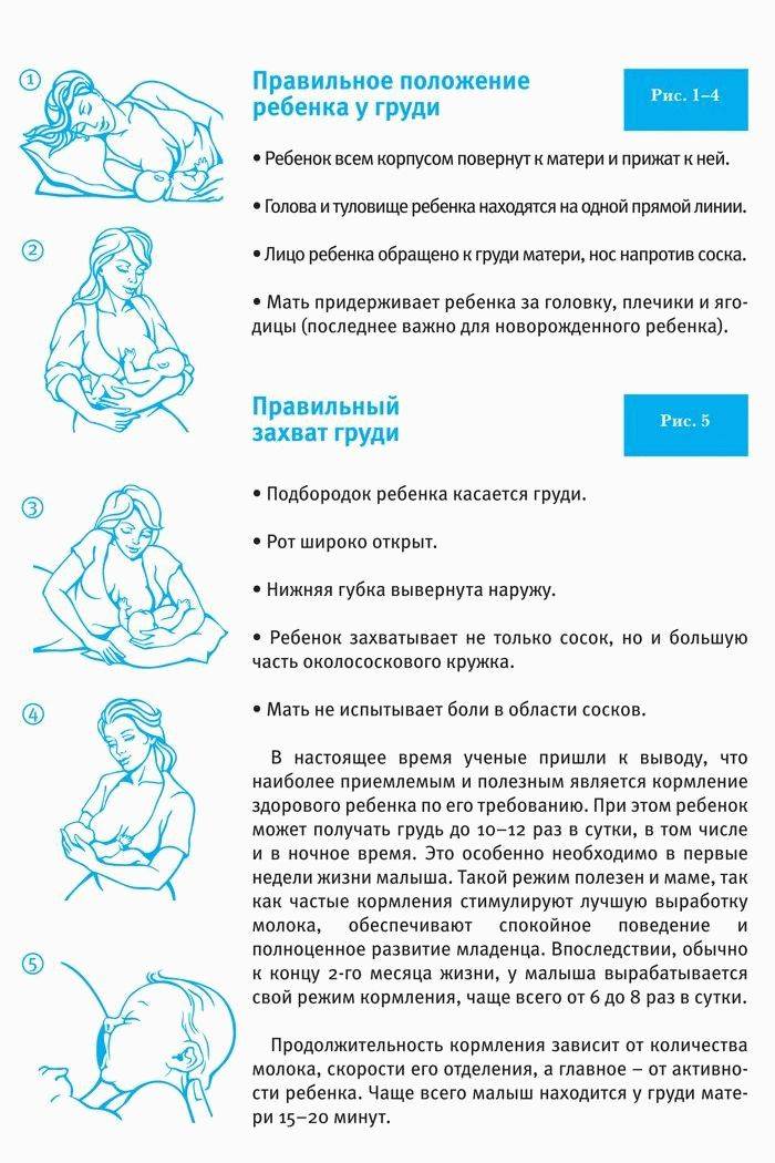Как правильно прикладывать малыша к груди при грудном вскармливании