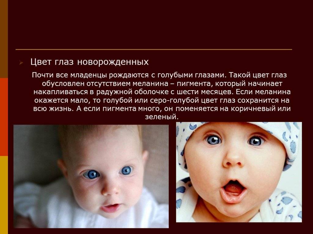 Когда меняются глаза у новорожденного, каким будет цвет глаз? научные данные о том, когда меняются глаза у новорожденных - автор екатерина данилова - журнал женское мнение