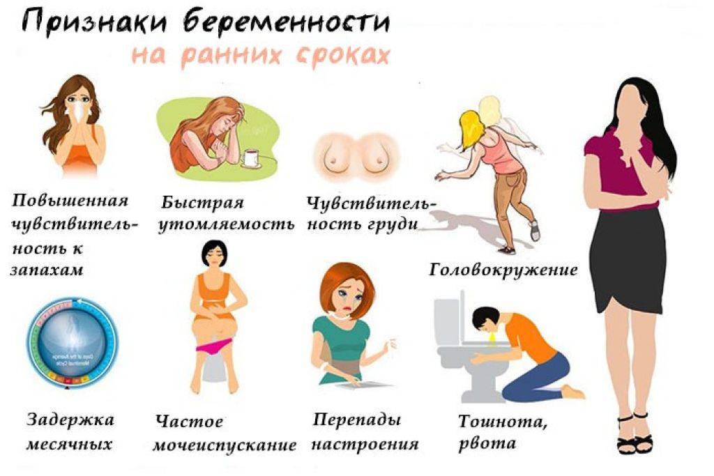 Первые действия при беременности - agulife.ru