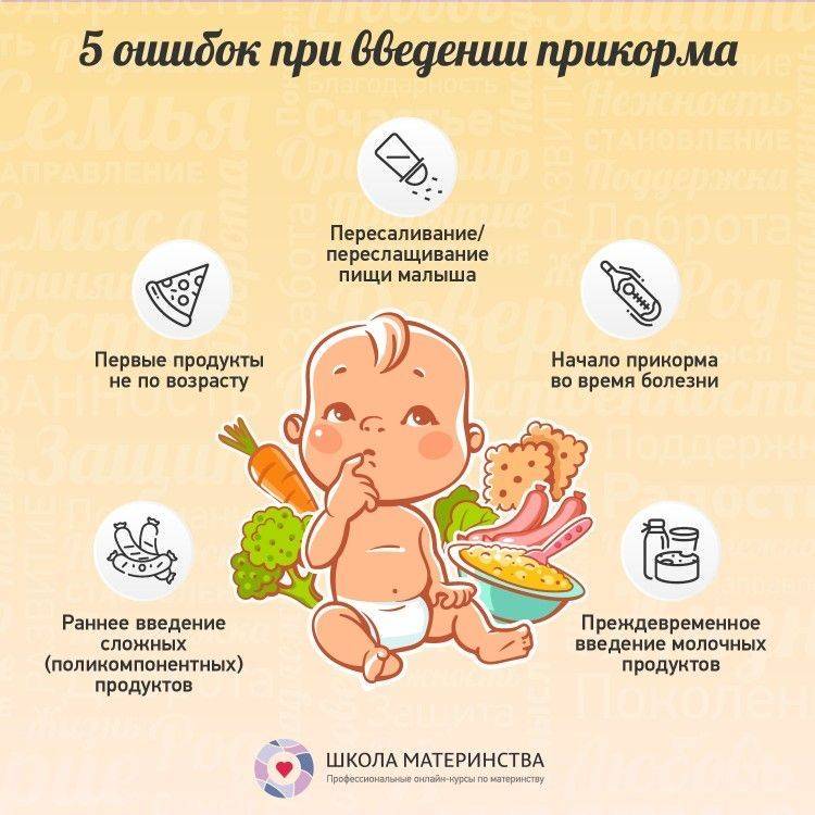 Советы комаровского: как правильно ввести овощи, каши и мясо в ситуации, когда ребёнок не хочет есть прикорм