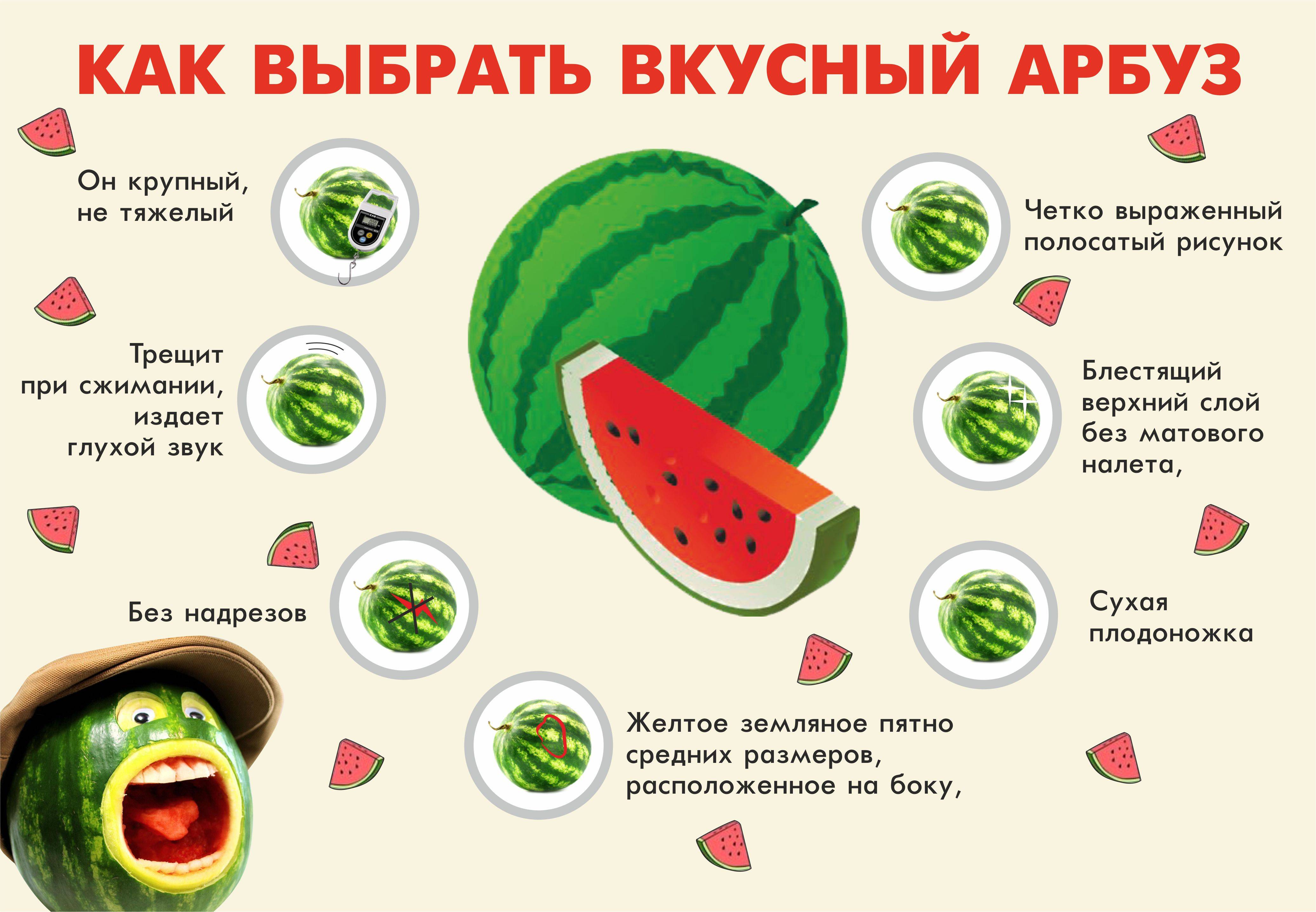 Узнаем, как выбрать спелый и сладкий арбуз: как выглядит хороший плод, как правильно определить спелость на грядке и при покупке и выбрать вкусный