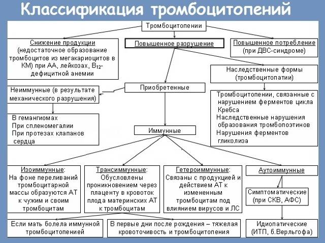 Тромбоцитопения (пурпура)