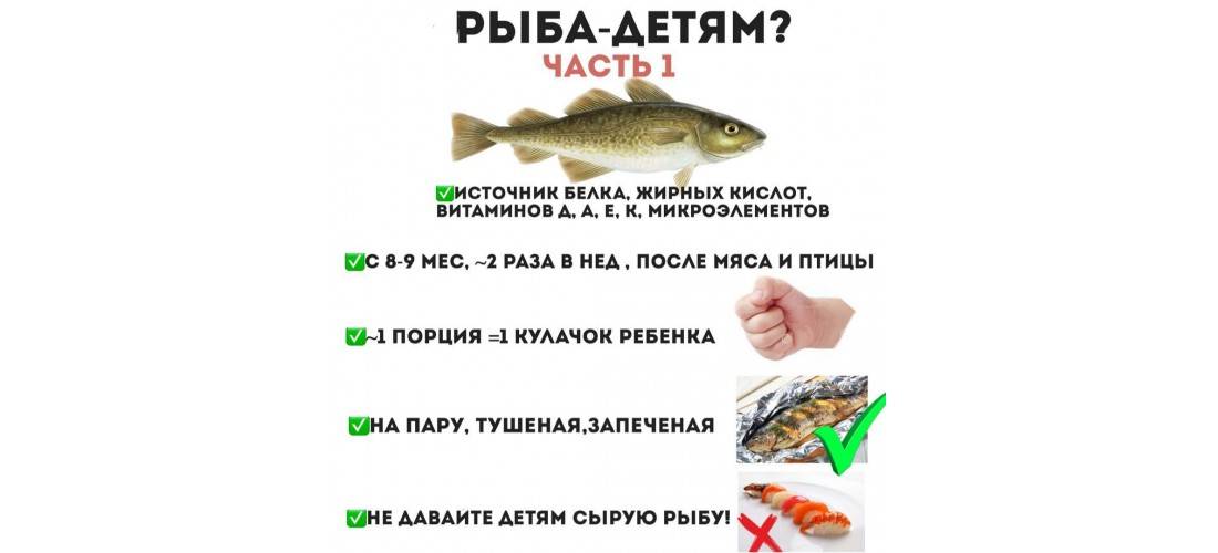 Сколько детям можно давать рыбу. с какого возраста можно давать ребенку рыбу? с какой рыбы начать прикорм? рецепты рыбных блюд для детей