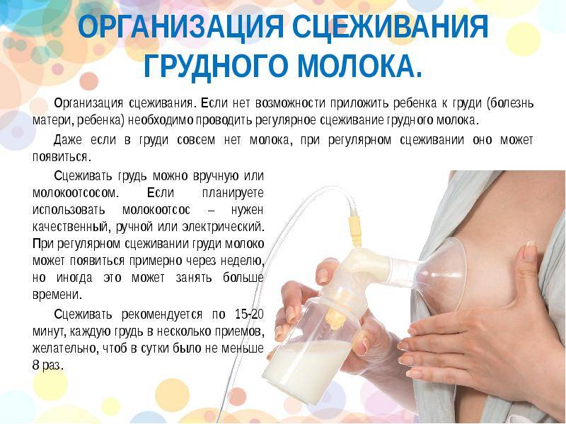 Через какое время выводятся аллергены из грудного молока: симптомы, лечение, профилактика | детская поликлиника химки