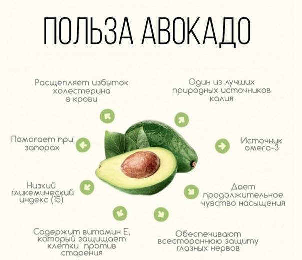 Авокадо при грудном вскармливании: можно ли кормящей маме в первый месяц и другие особенности употребления при лактации