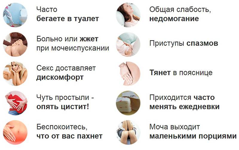 Симптомы урологических забоеваний | университетская клиника