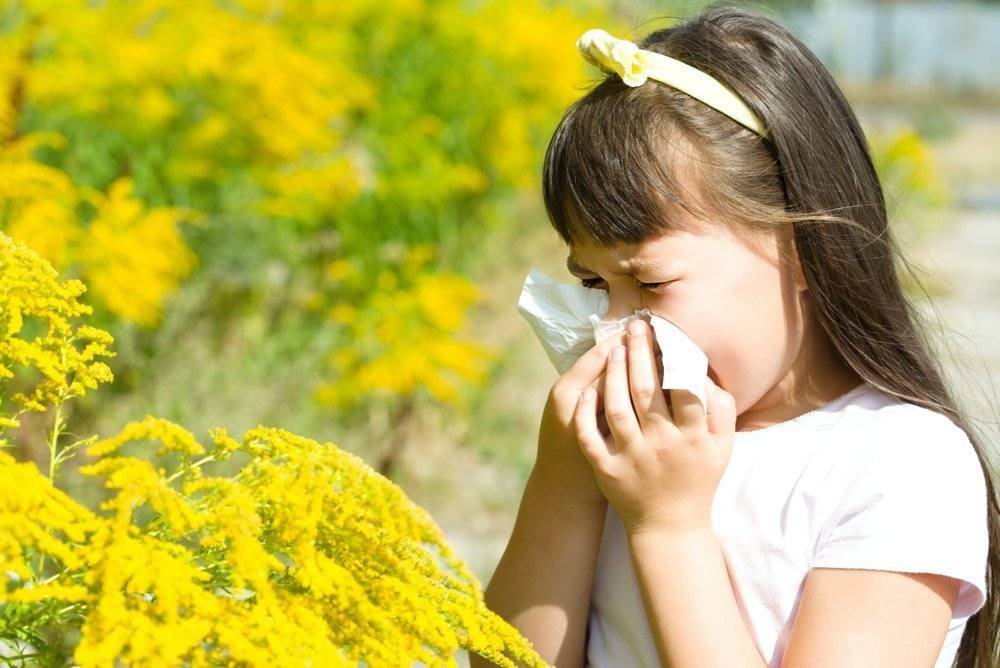 Аллергия на пыльцу, или поллиноз