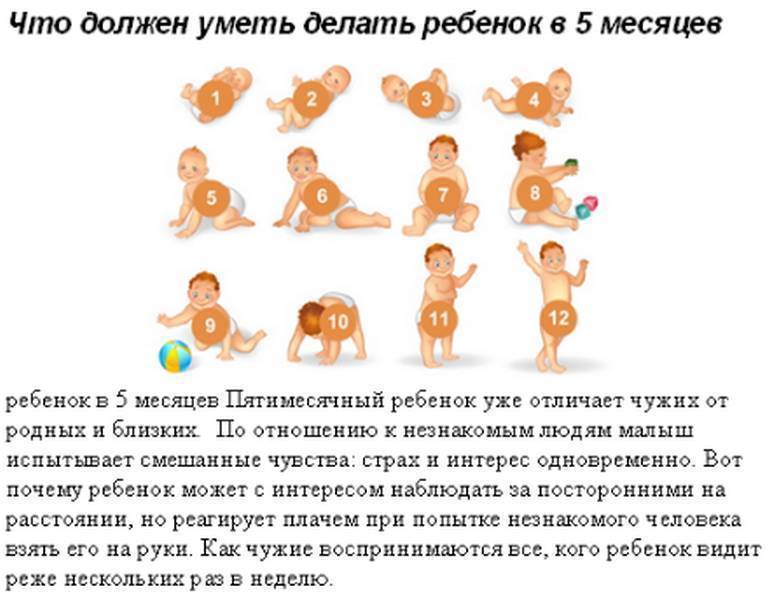 Развитие ребенка в 5 месяцев | развитие мальчиков и девочек в 5 месяцев: вес, рост, что умеет