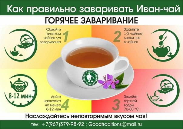 Сколько пить заваренный чай. Травяные чаи рецепты. Заваривать чай.