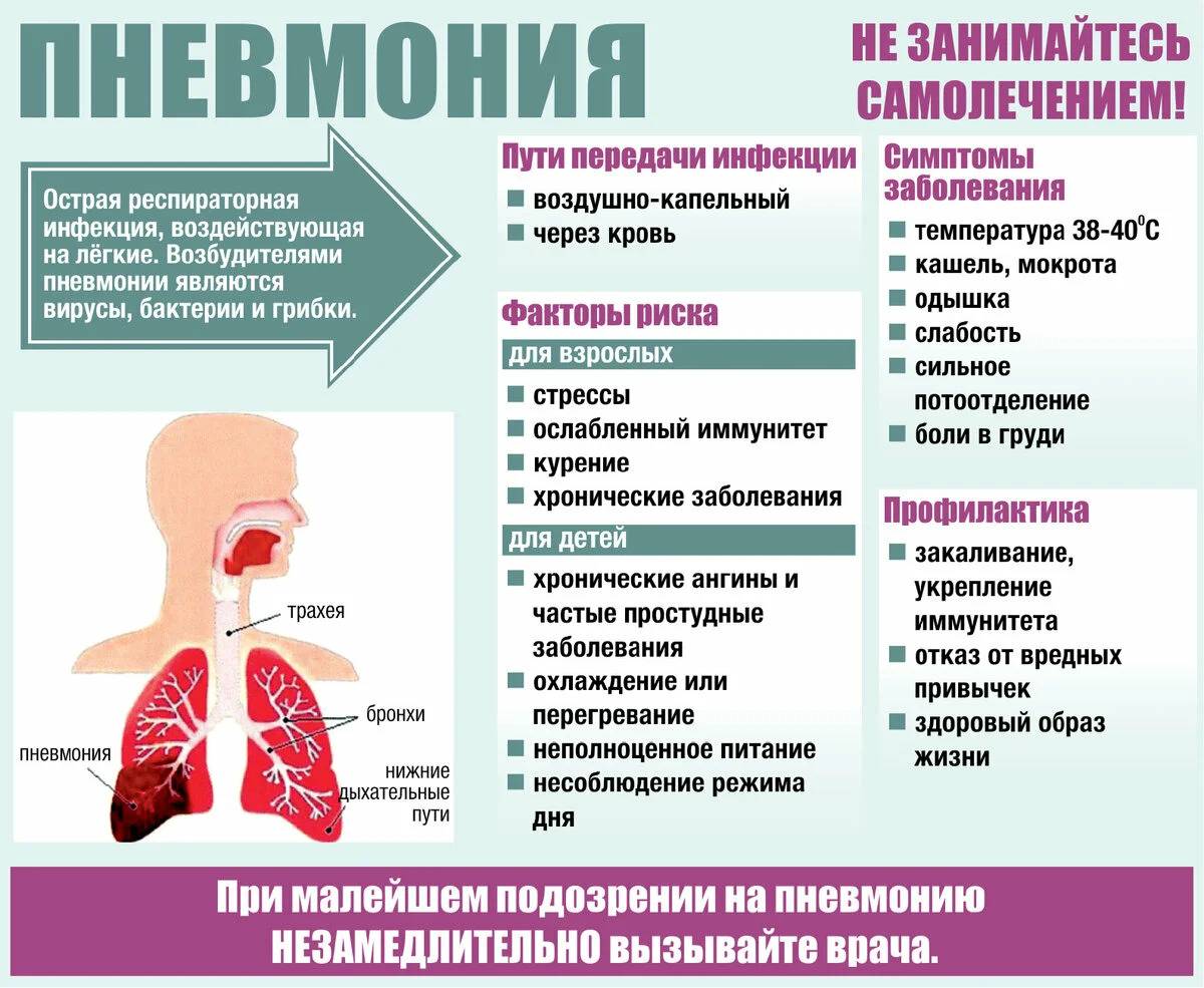 Пневмония - симптомы, диагностика и лечение болезни