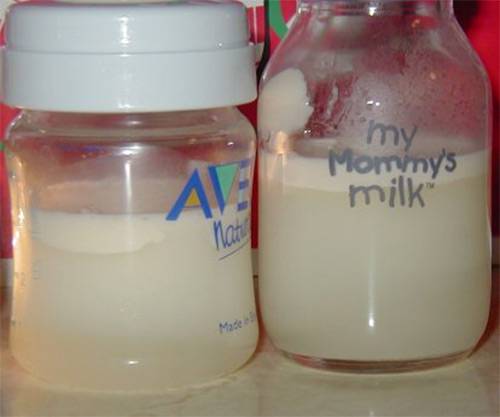 Как определить жирность грудного молока у женщины | parnas42.ru