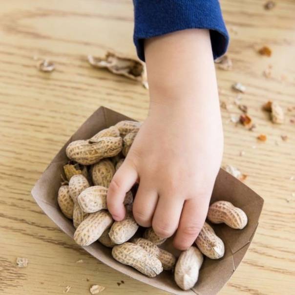 Польза орехов кешью для детей, суточная норма - сила ореха