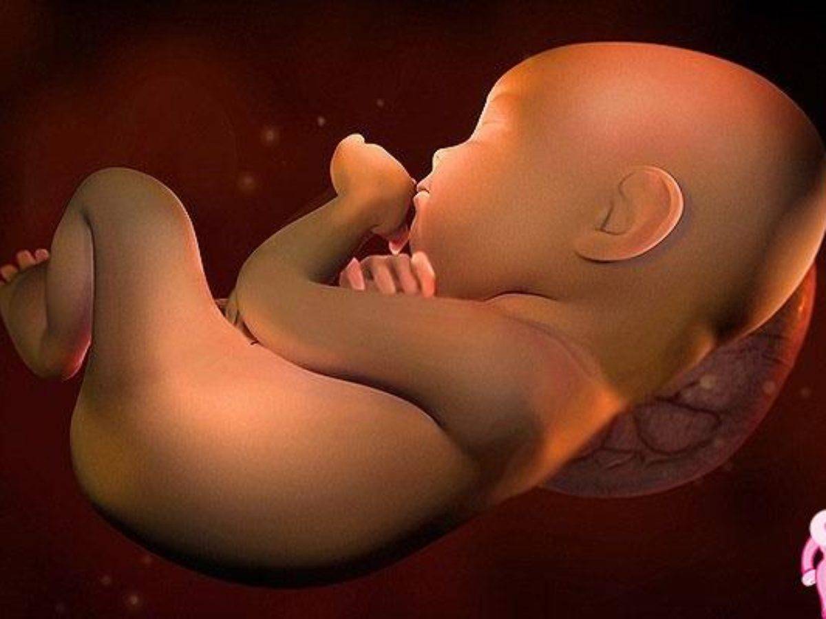 31 неделя беременности: ощущения, признаки, развитие плода