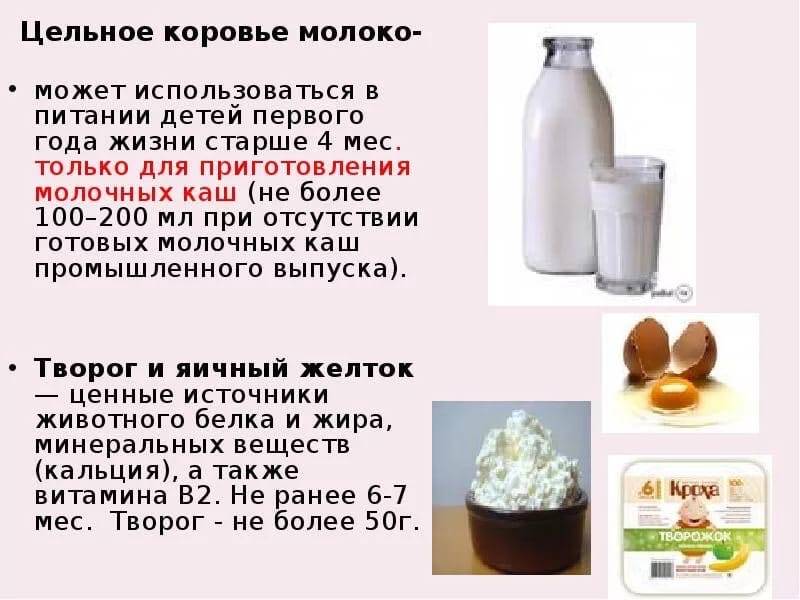 Козье молоко для грудничка: его польза и употребление