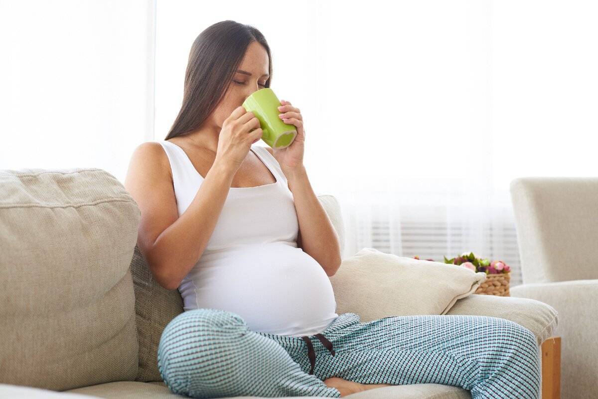 Кто пил беременной. Чай для беременных. Травяные чаи и беременность. Зелёный чай при беременности.