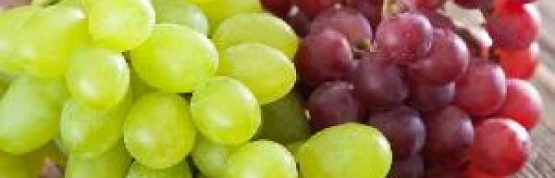 Виноградный компот при грудном вскармливании - мамины новости