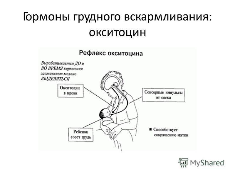Как определить диастаз мышц - признаки диастаза живота после родов, степень и стадии у мужчин и женщин