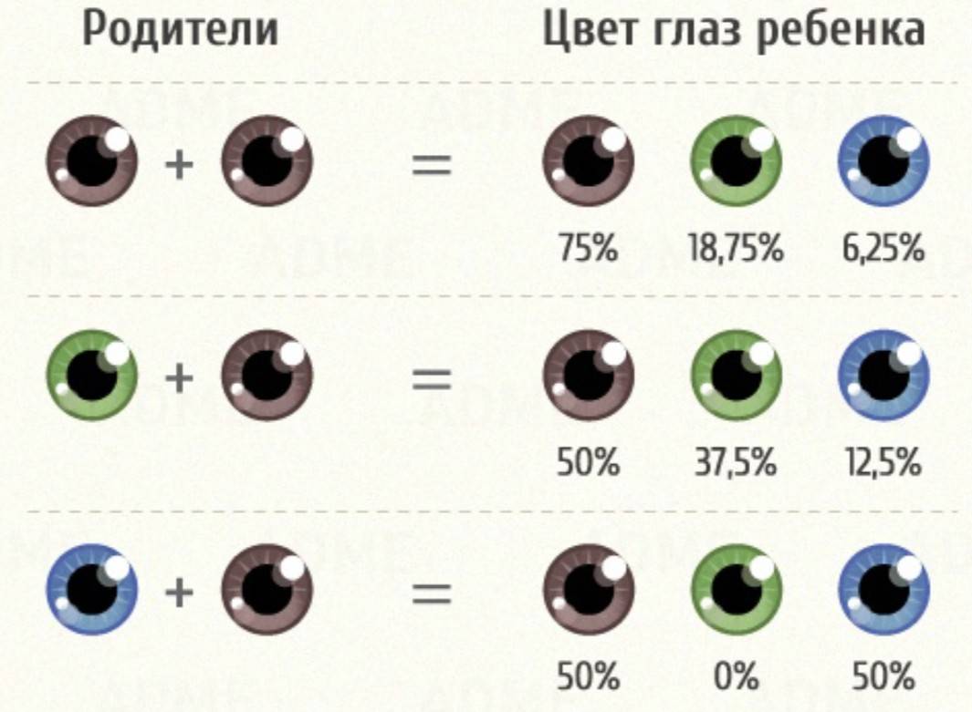 Как проводится осмотр глазного дна?