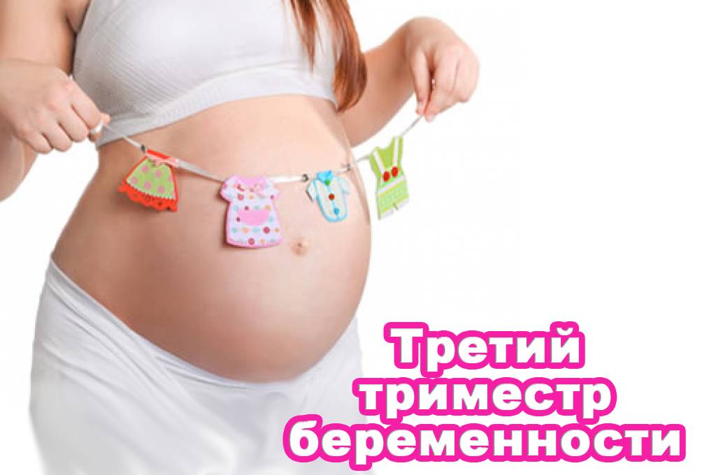 3 неделя беременности – что происходит, ощущения, признаки и симптомы беременности на третьей неделе - agulife.ru