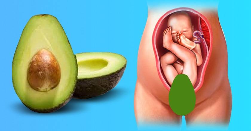 Авокадо в период беременности: стоит ли включать данный продукт в свой рацион?