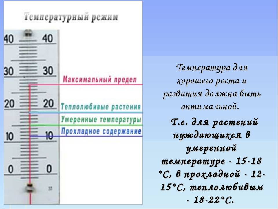 Температура комнаты в которой ребенок до года