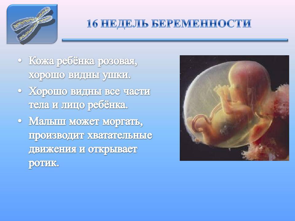 Аборт (выкидыш) - прерывание беременности | университетская клиника