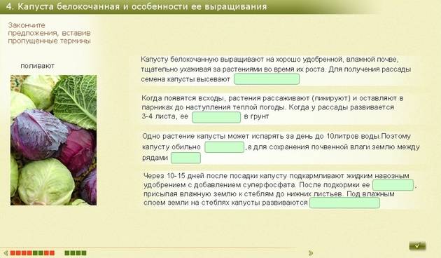 Когда можно давать капусту белокочанную грудничку - детская городская поликлиника №1 г. магнитогорска