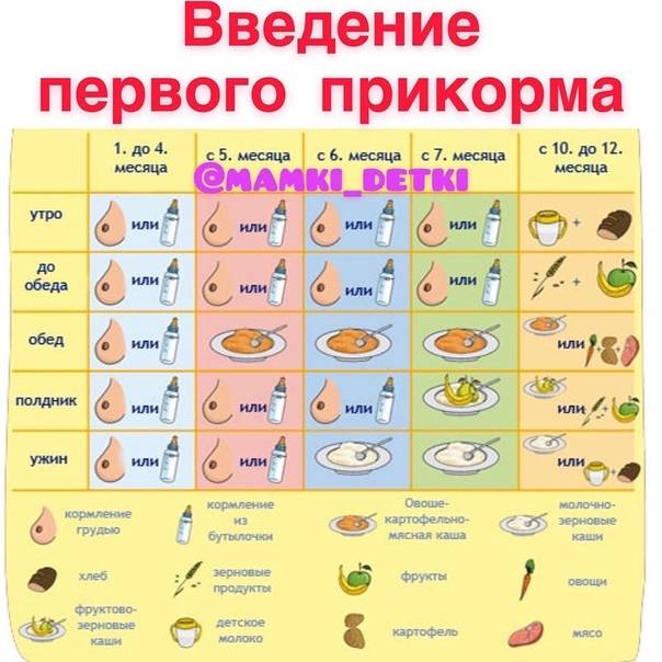 Вода при введении прикорма: как правильно давать, сколько и для чего она нужна | terra-baby.ru