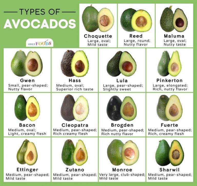 Можно ли детям авокадо: с какого возраста и в каком количестве, полезные свойства, противопоказания, как выбрать и хранить