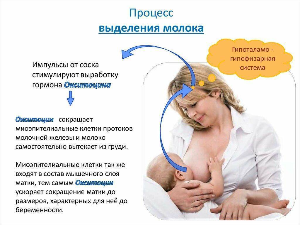 Окситоцин при грудном вскармливании, влияние на ребенка при кормлении