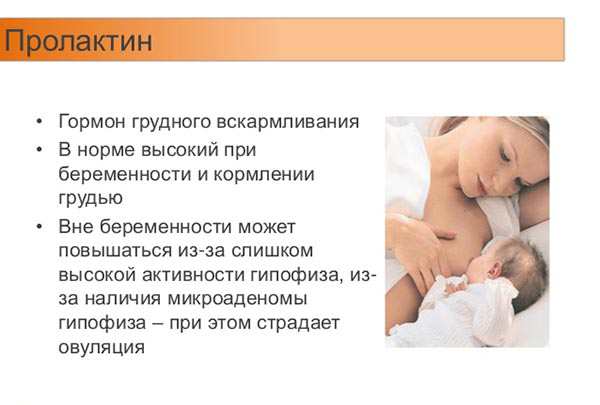 Как правильно подготовиться к грудному вскармливанию во время беременности • центр гинекологии в санкт-петербурге