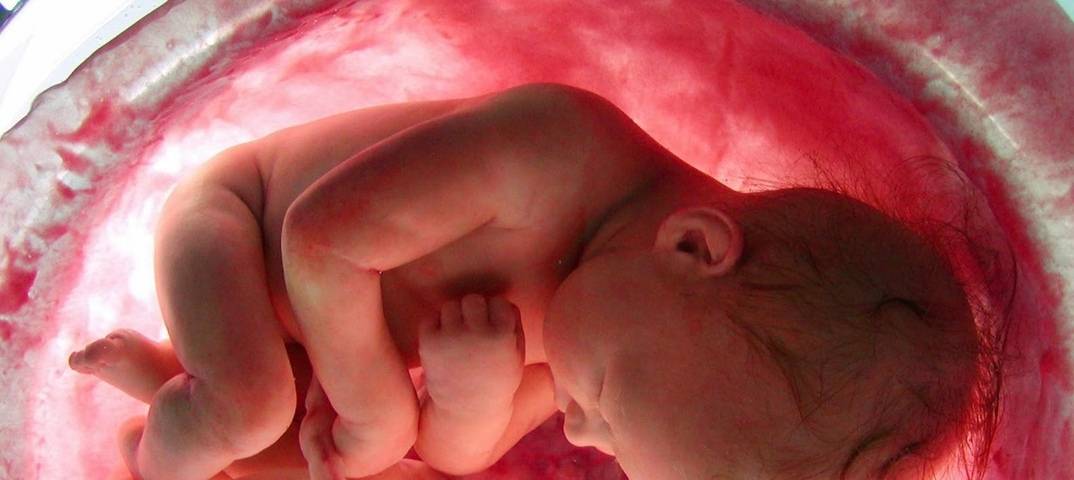 Ребенок икает в животе при беременности: что это значит и в чем причина икоты?