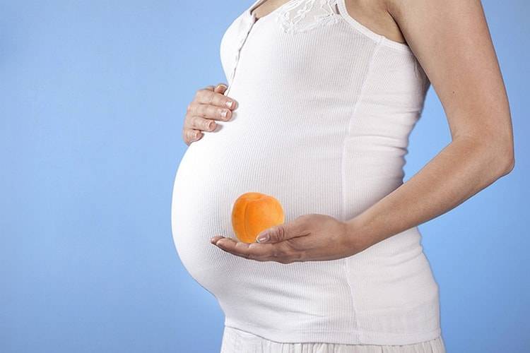 Какие фрукты можно и нельзя употреблять во время беременности?