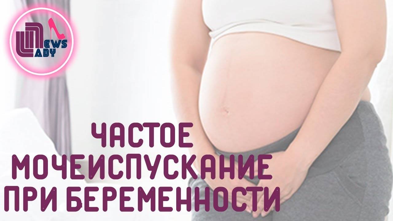 Фарматека » недержание мочи во время беременности и в послеродовом периоде