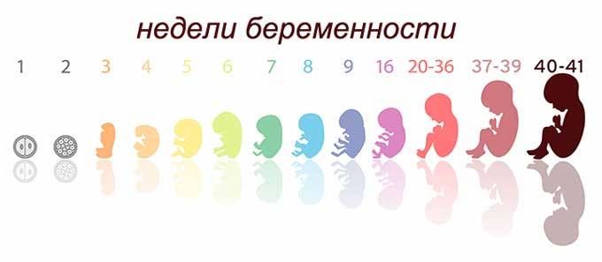 Четвертый триместр беременности: помощь маме и новорожденному