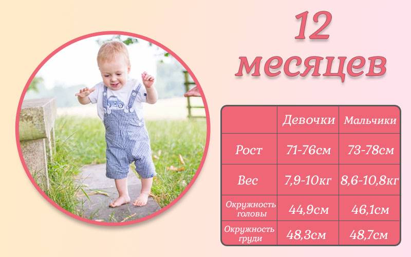 Развитие ребенка в 12 месяцев