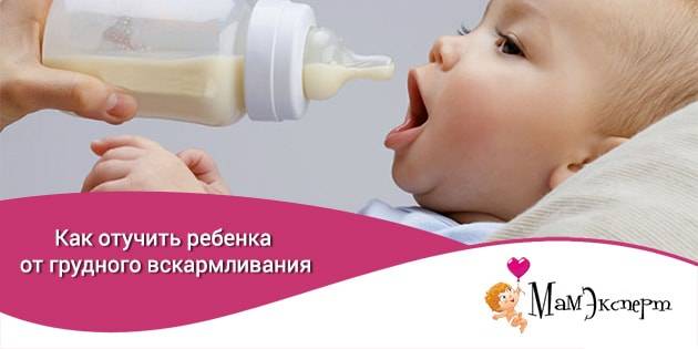 Нужно ли кормить ребенка ночью - до какого возраста кормить ребенка по ночам - agulife.ru