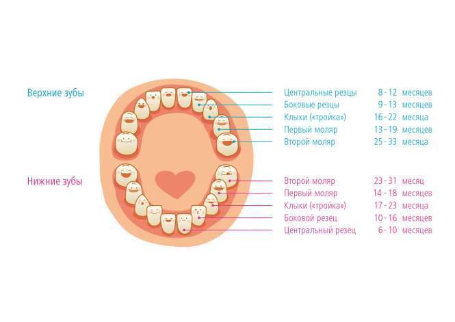 Температура при прорезывании зубов у ребенка | дентал мед