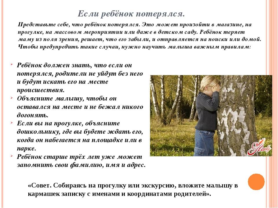 Шансы у маленького димы есть. три невероятные истории спасения заблудившихся в лесу детей - новости - 66.ru