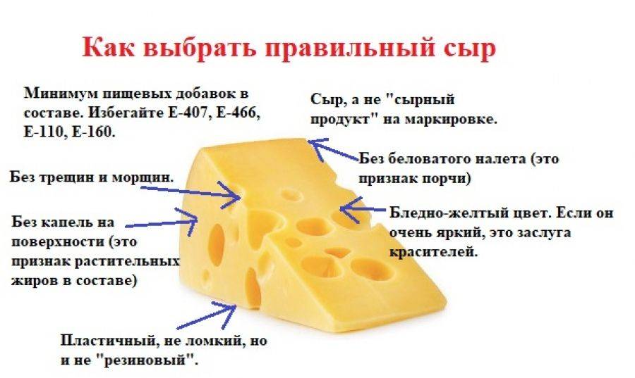 Плавленный сыр при грудном вскармливании