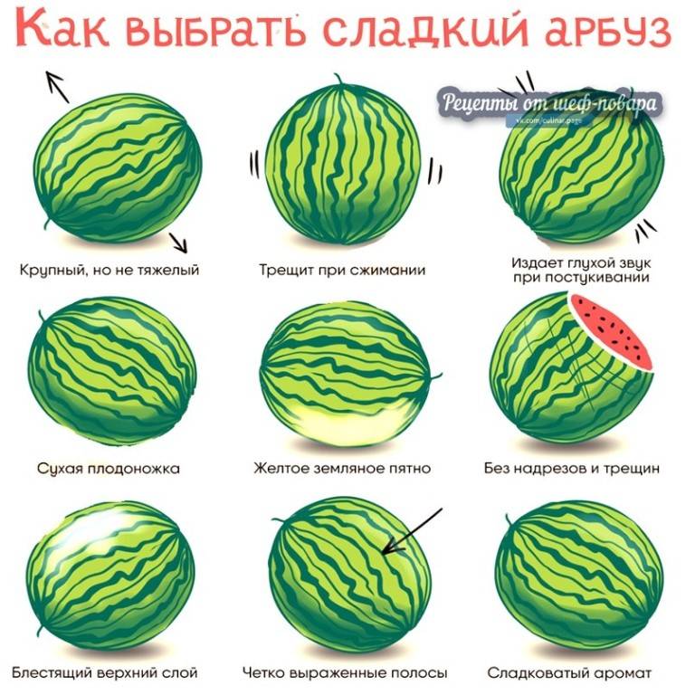Как выбрать арбуз - основные признаки спелости ягоды и правила при покупке