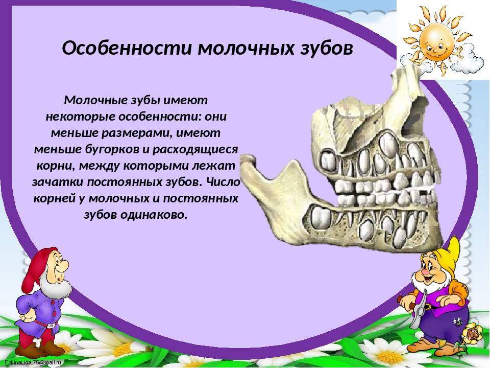 Скол зуба: всё о дентальной реставрации и наращивании повреждённых зубов