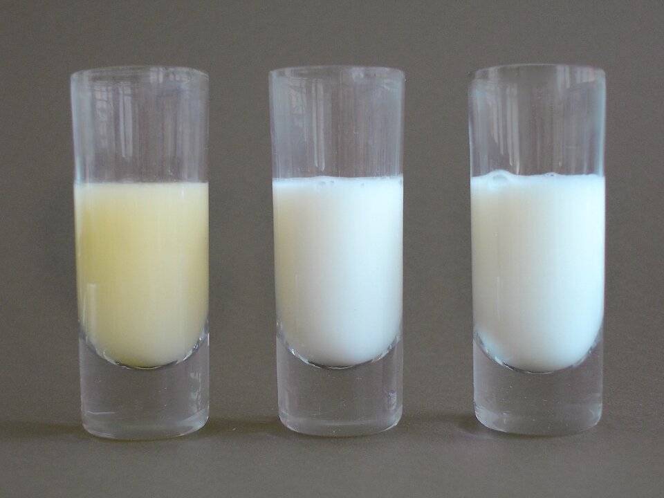 Цвет грудного молока - как выглядит и каким должно быть после родов | parnas42.ru